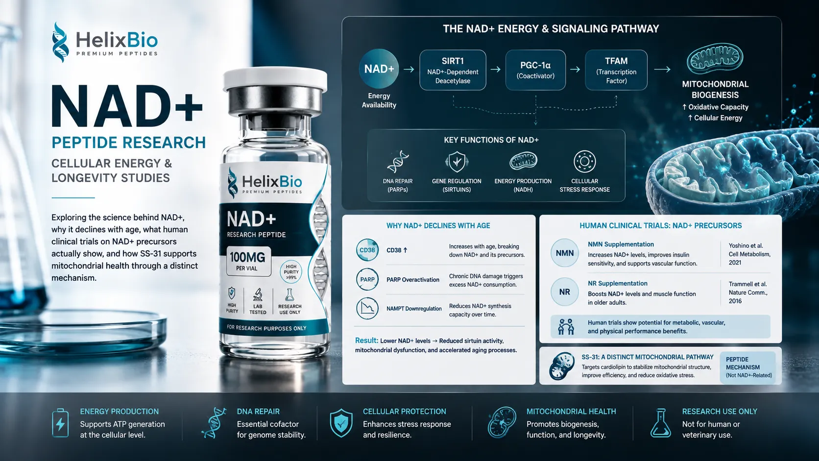 NAD+ Peptide Research: Cellular Energy & Longevity Studies