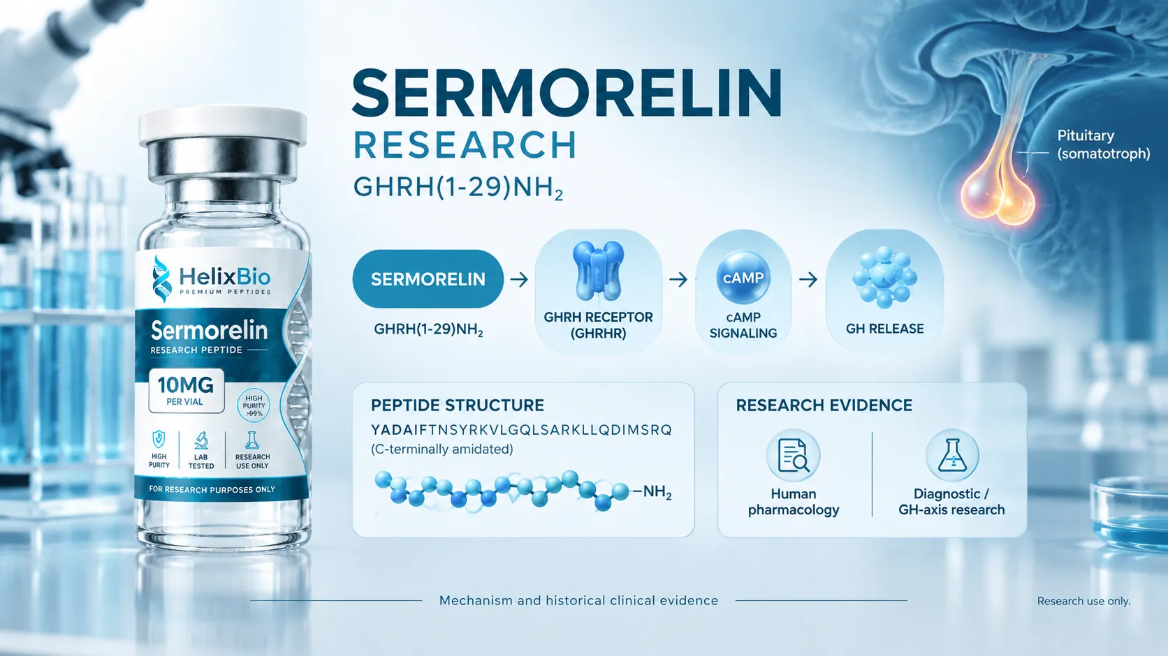 What Sermorelin Research Actually Shows About GHRH(1-29)